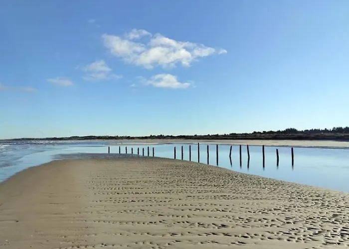 Cozy, Delicious And Bright Casa vacanze *